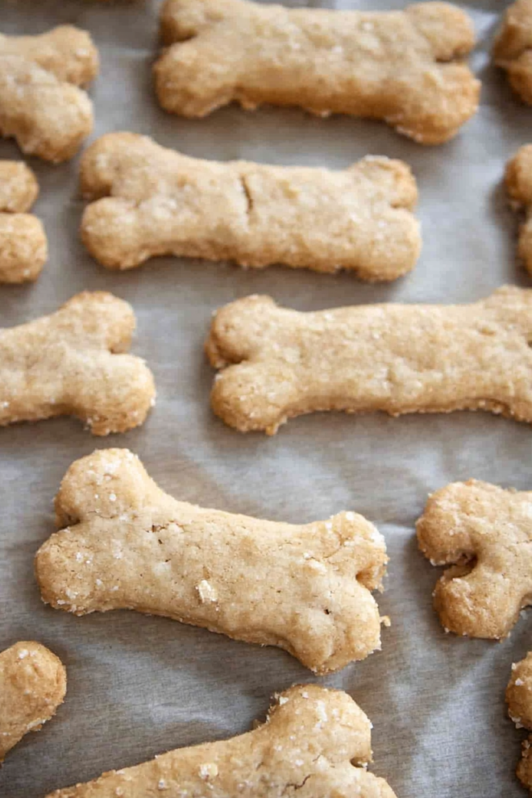 dog treats